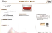 6.68/CT Natural Red Coral With Govt. Lab Certificate
